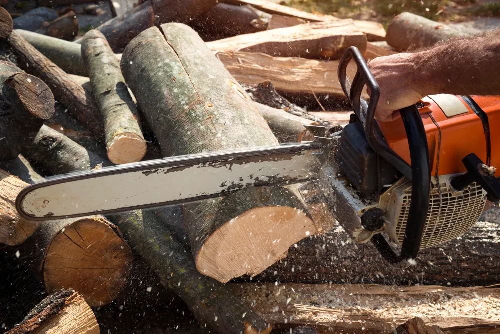 Chainsaw cutting logs
