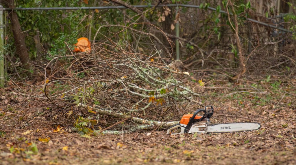 Brush Clearing