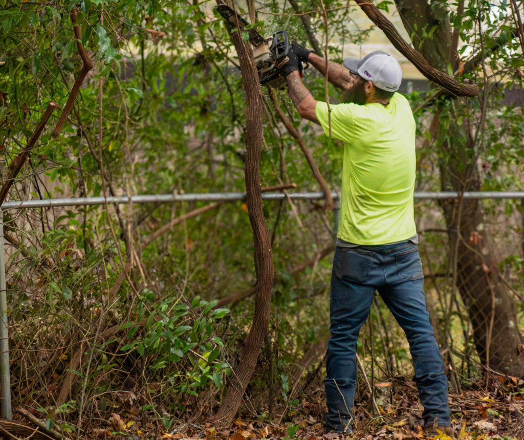 Branch Trimming