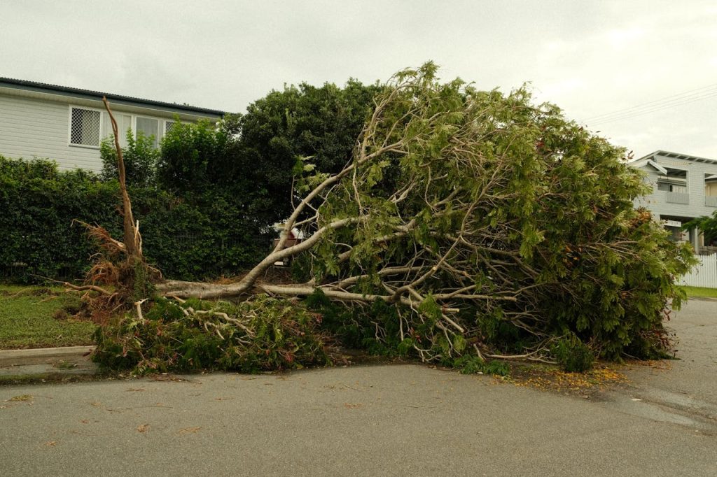Storm Damage