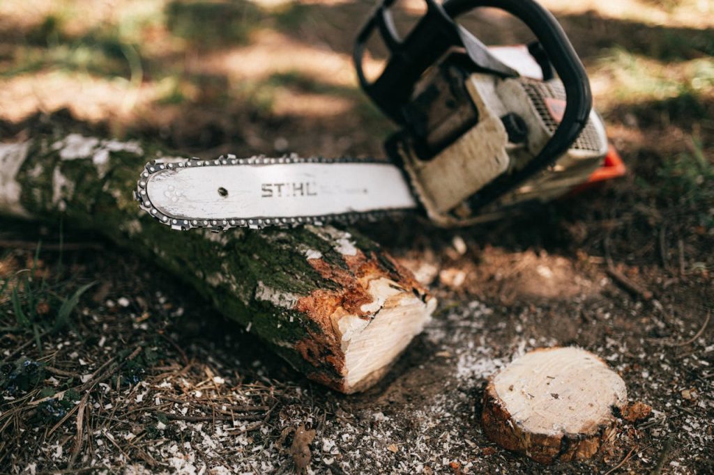 Tree Cutting
