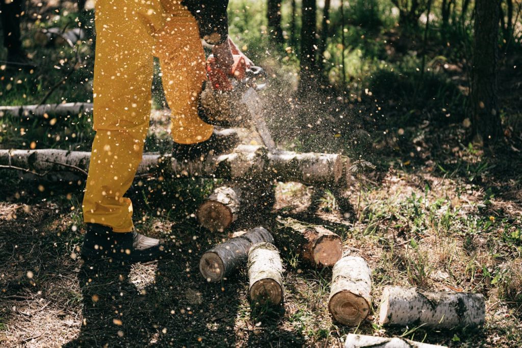 Tree Cutting