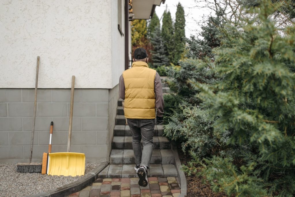 Yard Cleanup