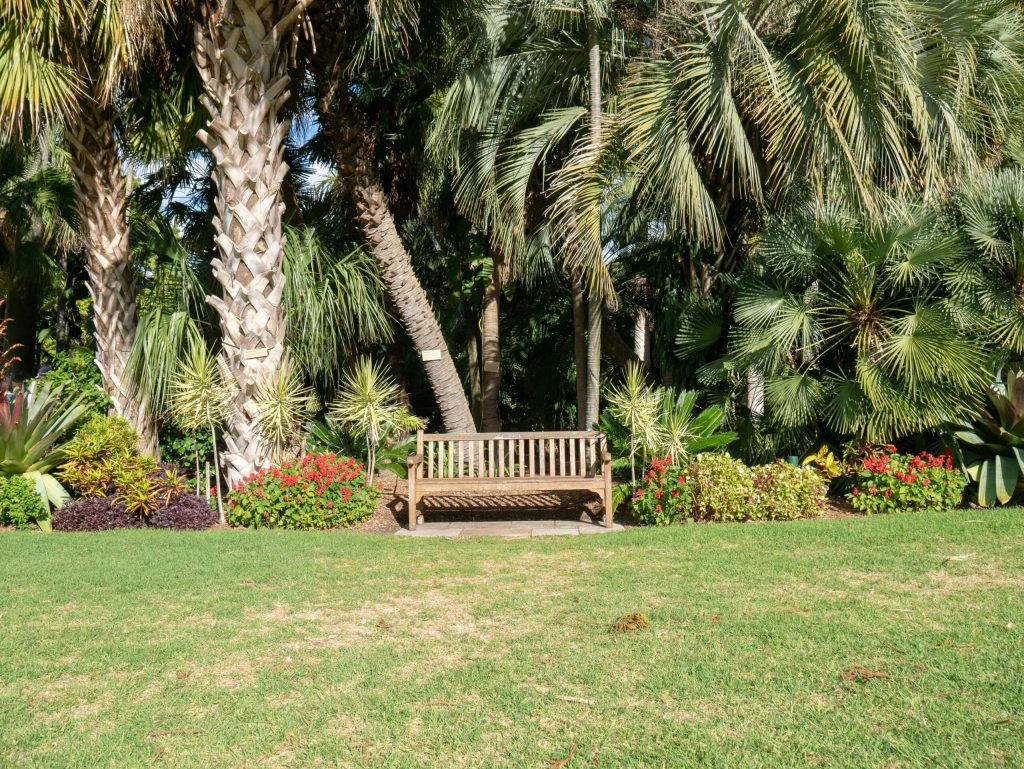 Tropical landscaping