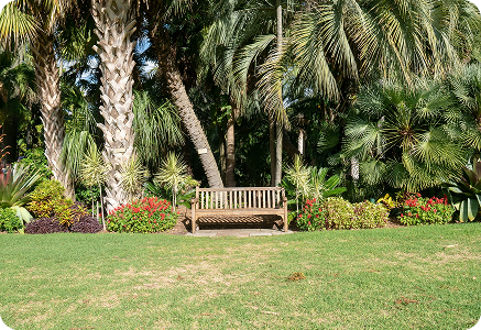 Ed's Tree, Lawn & Landscaping - Service Landscaping