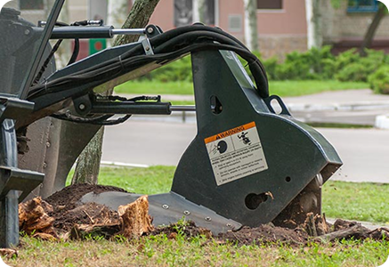 Ed's Tree, Lawn & Landscaping - Service Stump Removal