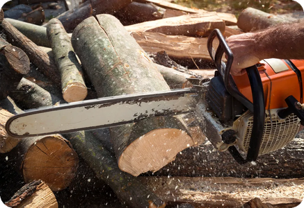 Ed's Tree, Lawn & Landscaping - Tree Cutting