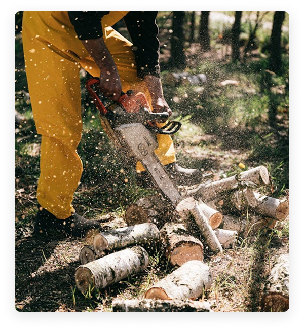 Ed's Tree, Lawn & Landscaping - Why Choose Chainsaw